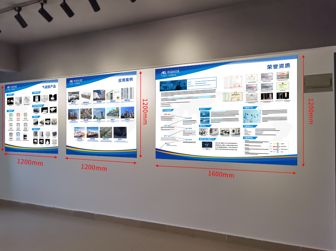 白蕉公司发展历程